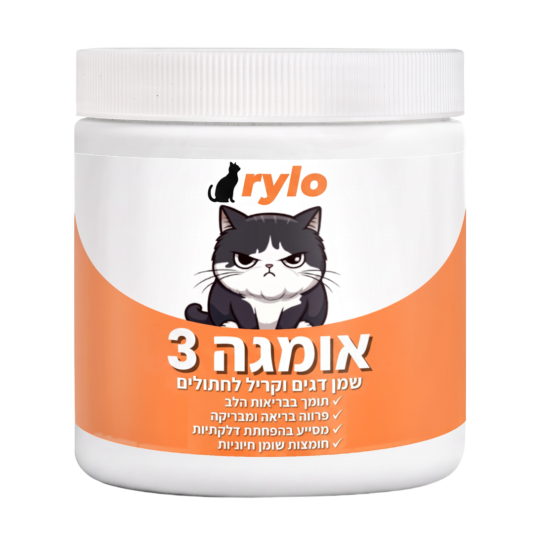 קנו קופסה 1