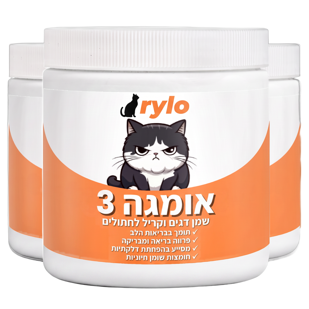 קנו 3 קופסאות
