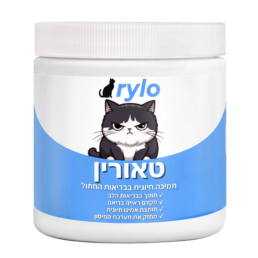 קנו קופסה 1