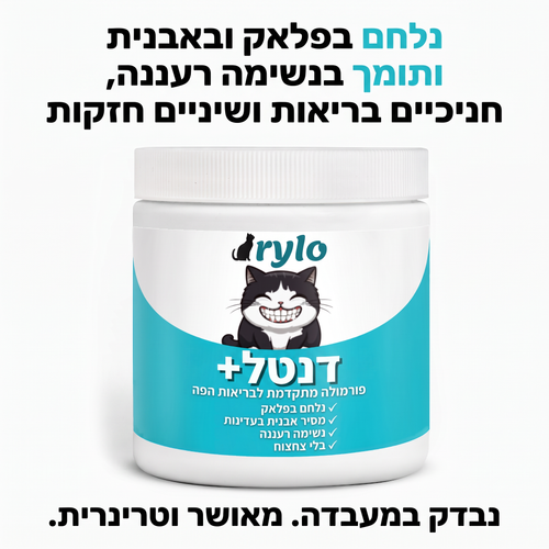 דנטל+ של Rylo – נבדק במעבדה