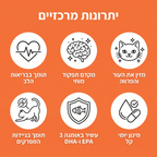 יתרונות מרכזיים