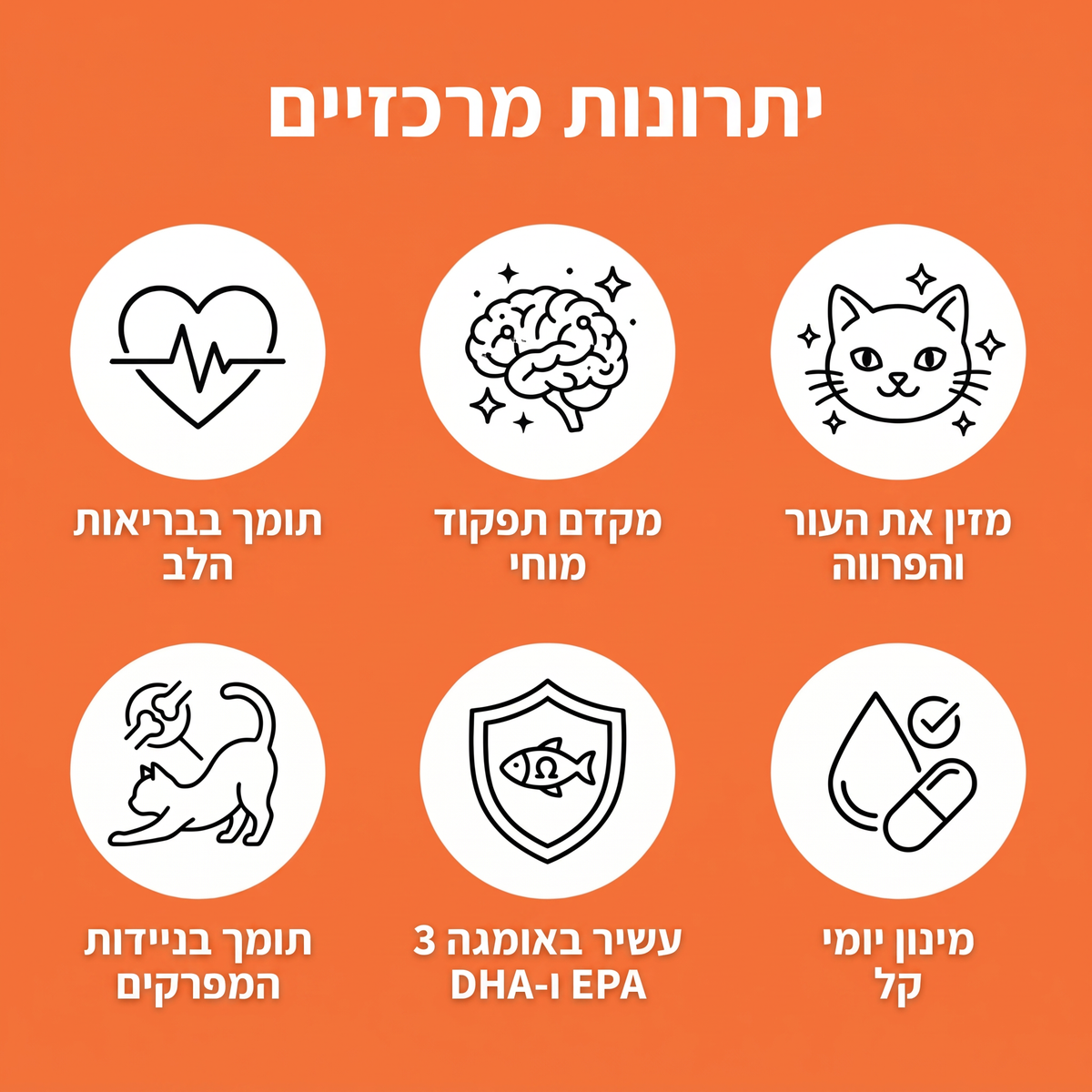 יתרונות מרכזיים