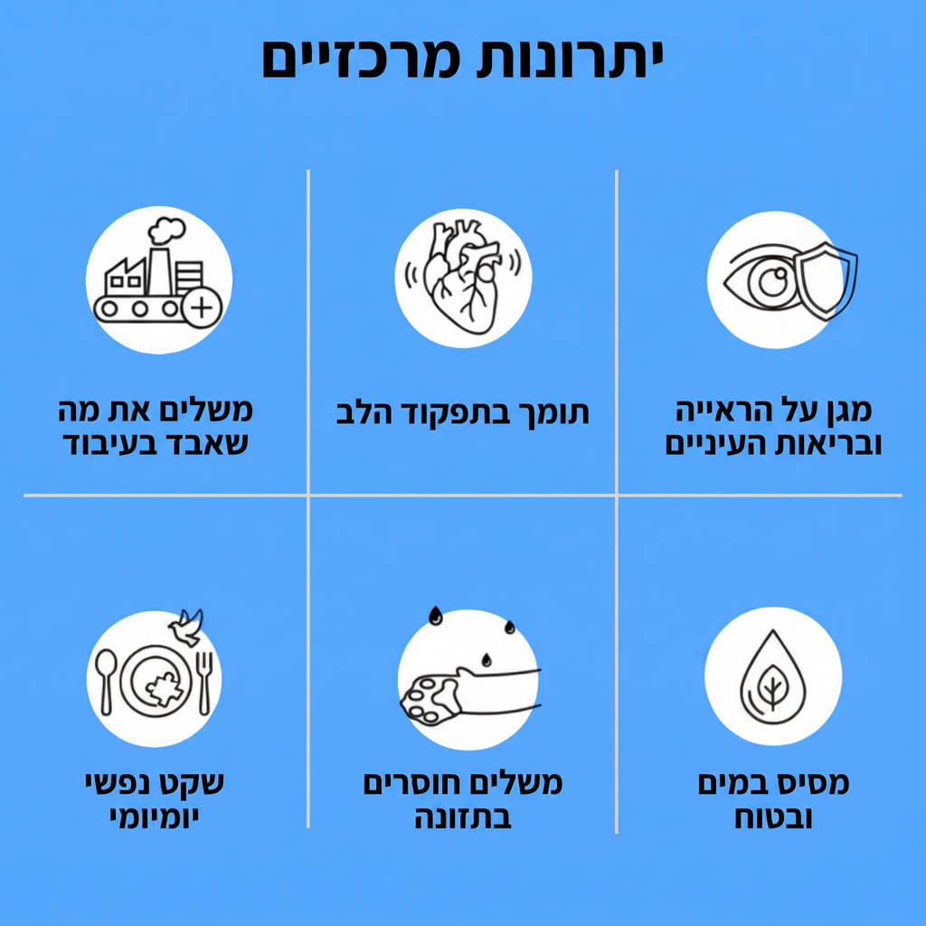 יתרונות מרכזיים