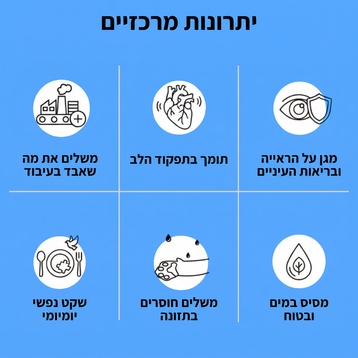 יתרונות מרכזיים